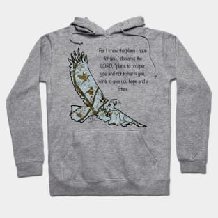 Walking in Faith Hoodie